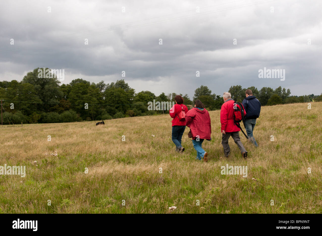 Eine Gruppe von Menschen zu Fuß in die Essex-Landschaft in der Nähe von Braintree. Stockfoto