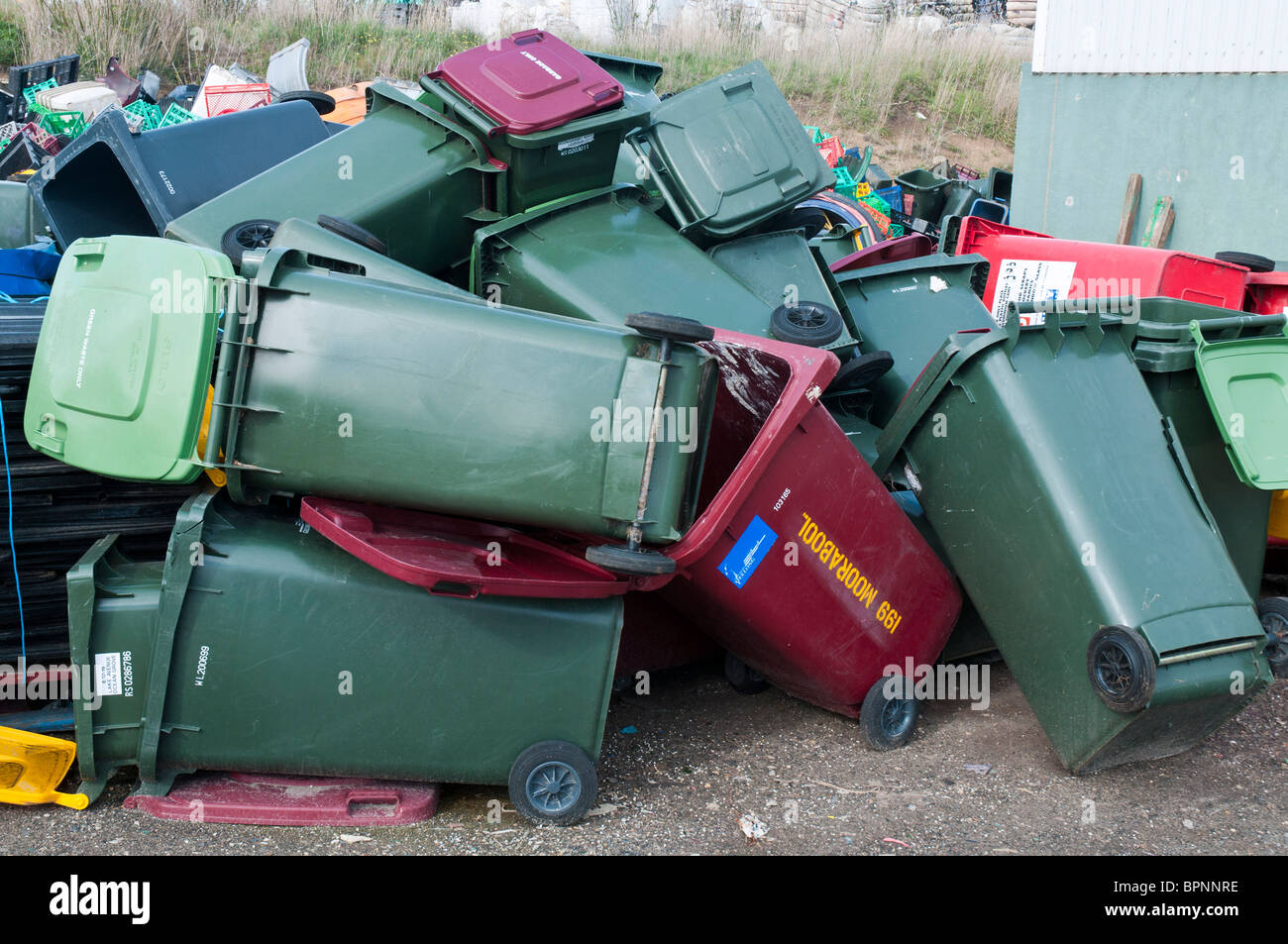 Kunststoff Wheelie Mülltonnen Recycling in einer Recyclinganlage Stockfoto