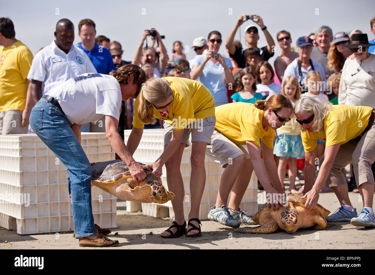 Eine sanierte Meeresschildkröte zurück in den Ozean von der Turtle Rescue Team auf der Isle of Palms, SC veröffentlicht Stockfoto Eine sanierte Meeresschildkröte zurück in den Ozean von der Turtle Rescue Team auf der Isle of Palms, SC veröffentlicht Stockfoto