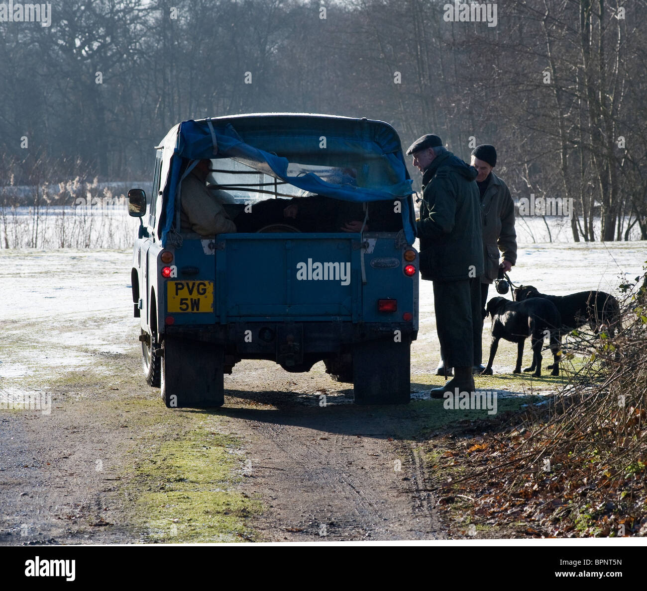 Männer mit Hunden im Gespräch mit Land Rover Fahrer Stockfoto