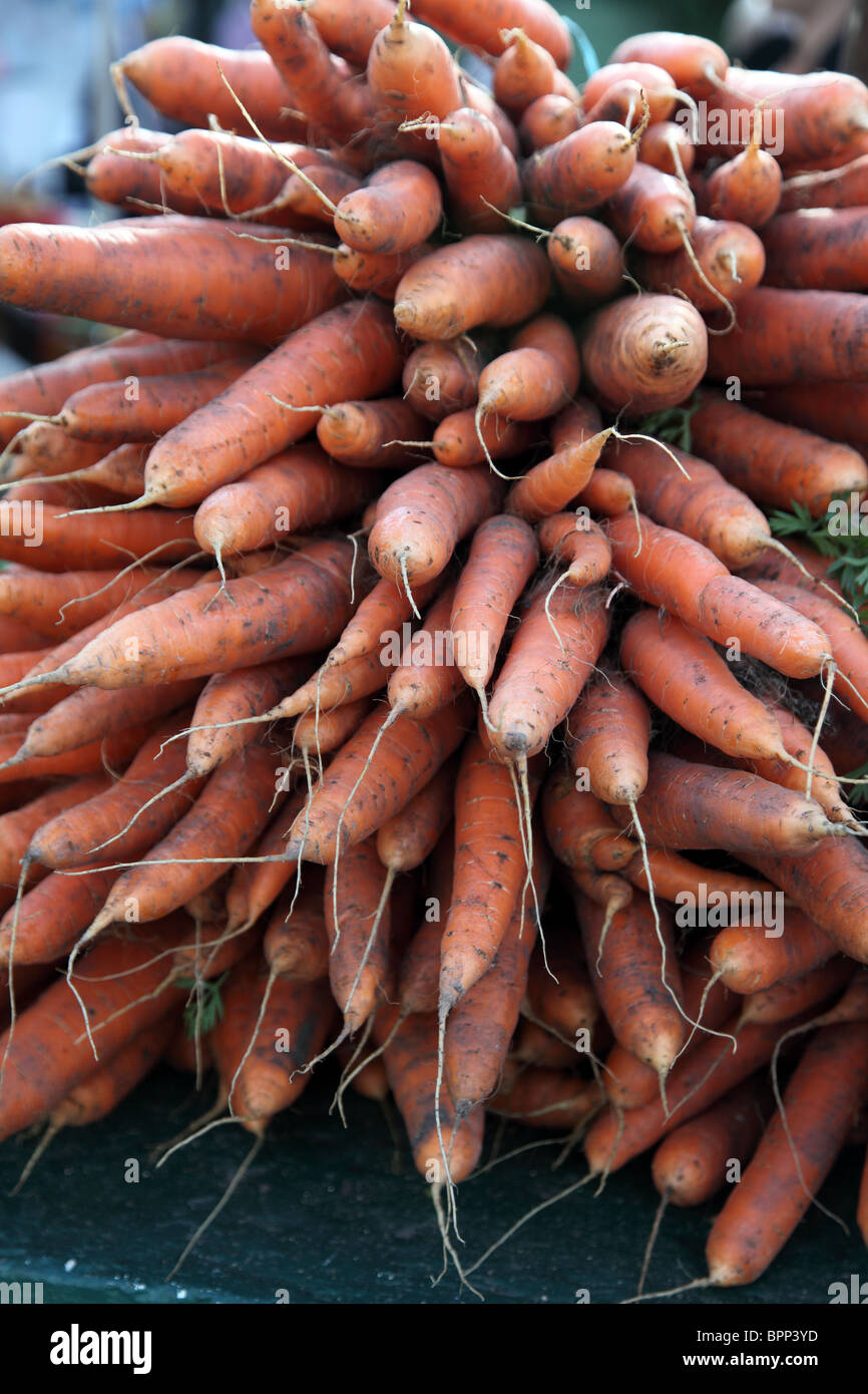 Bio-Karotten, Dingle Farmers Market, Co. Kerry, Irland Stockfoto