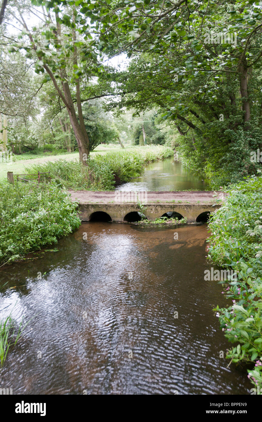Der kleine Fluss Pant in der Essex-Landschaft Stockfoto