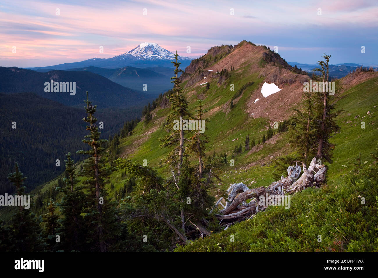 Goat Rocks Wilderness mit Blick auf Mt. Adams aus Ziege Ridge, Washington, USA Stockfoto