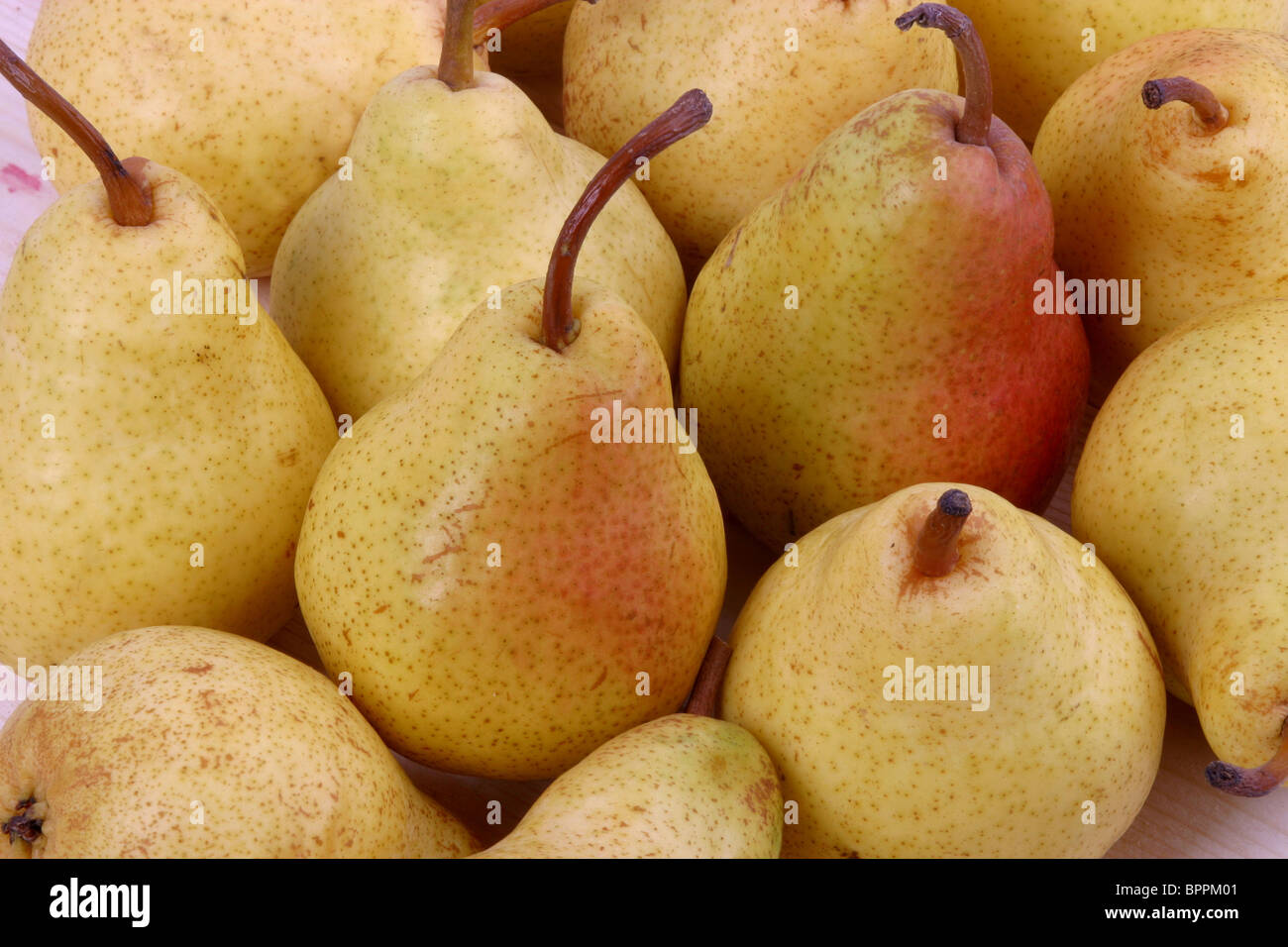 Comice Birnen Stockfoto