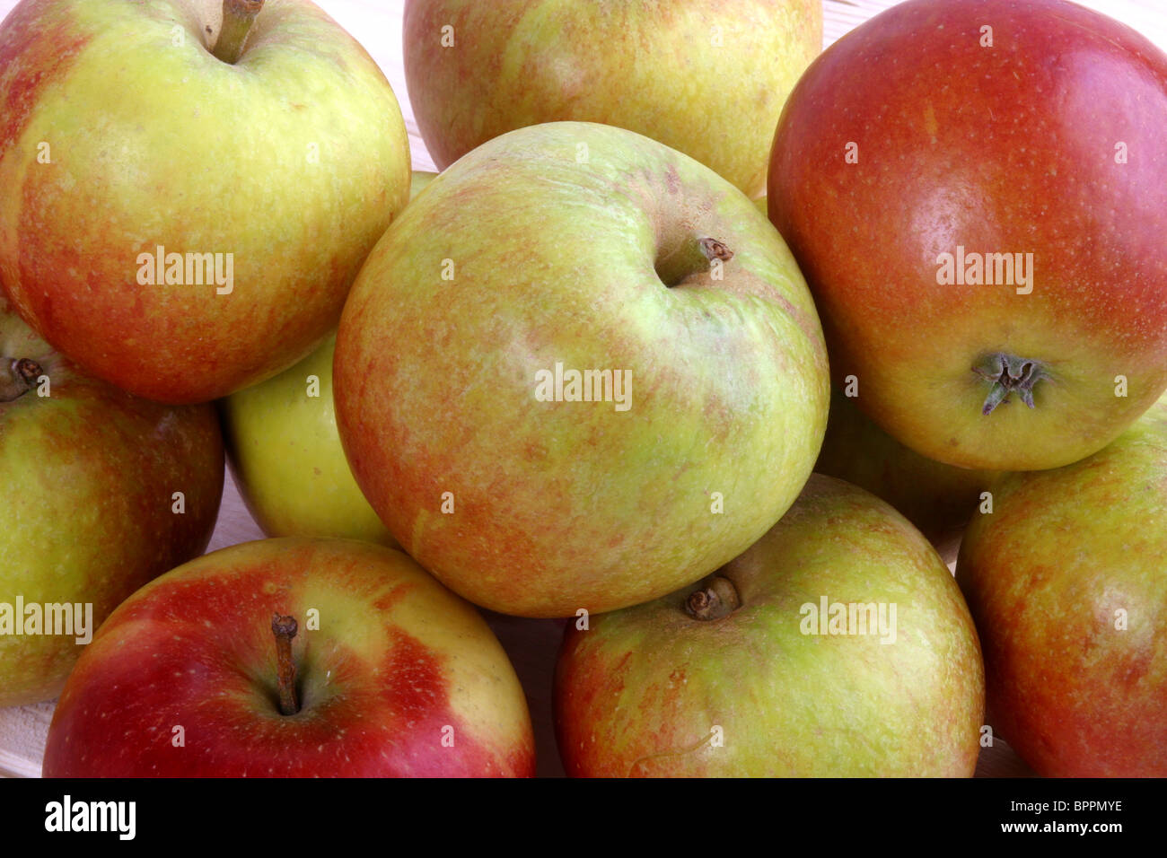 Coxs Äpfel Stockfoto