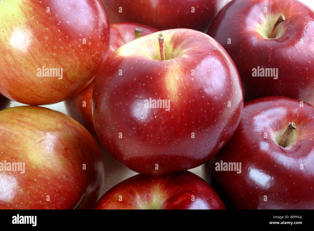 Empire-Äpfel Stockfoto