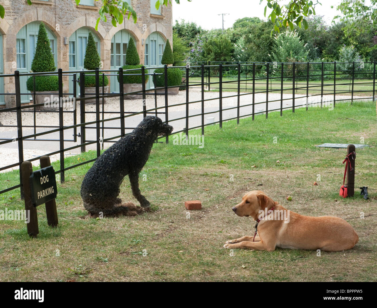 Hund Parken bei Daylesford Organic farmshop in den Cotswolds, Gloucestershire, Vereinigtes Königreich Stockfoto