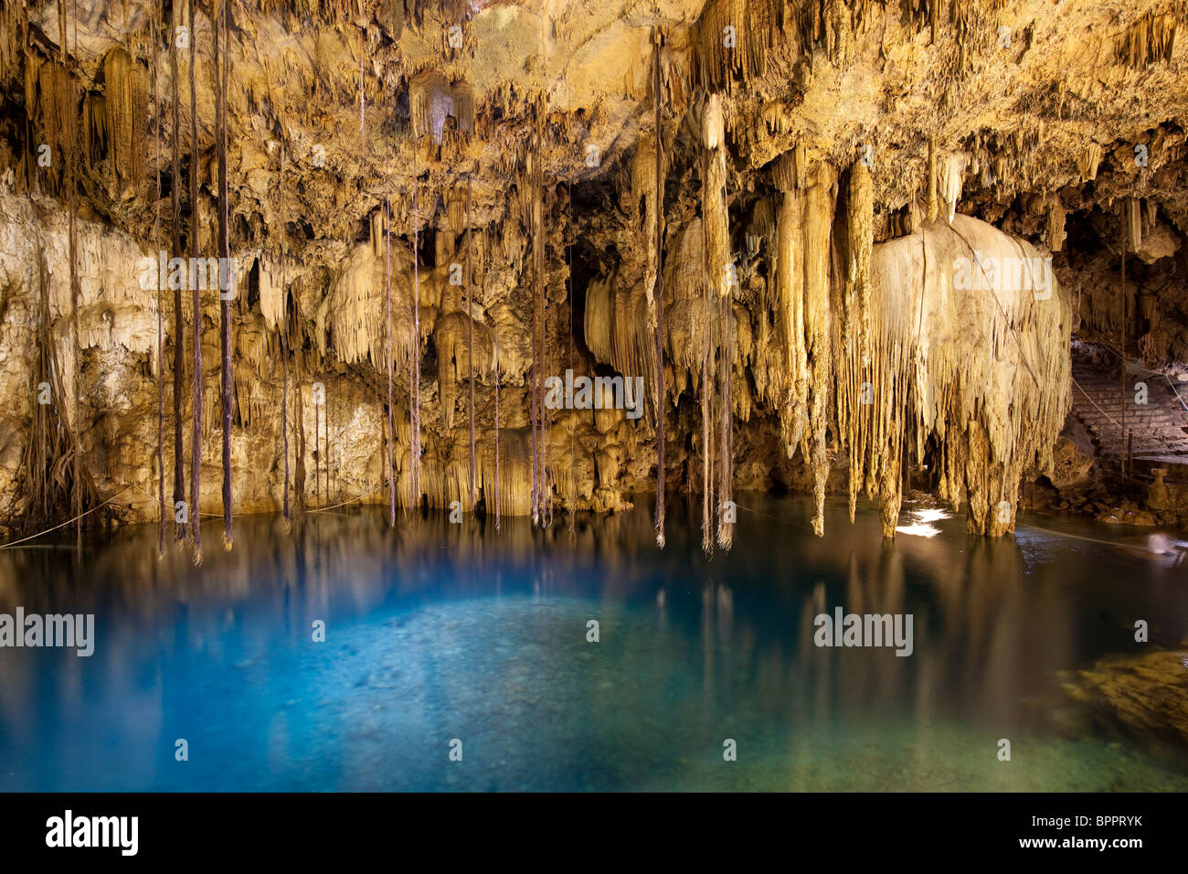 Cenote Dzitnup, Dzitnup Dorf in der Nähe von Valladolid, Yucatan, Mexiko Stockfoto