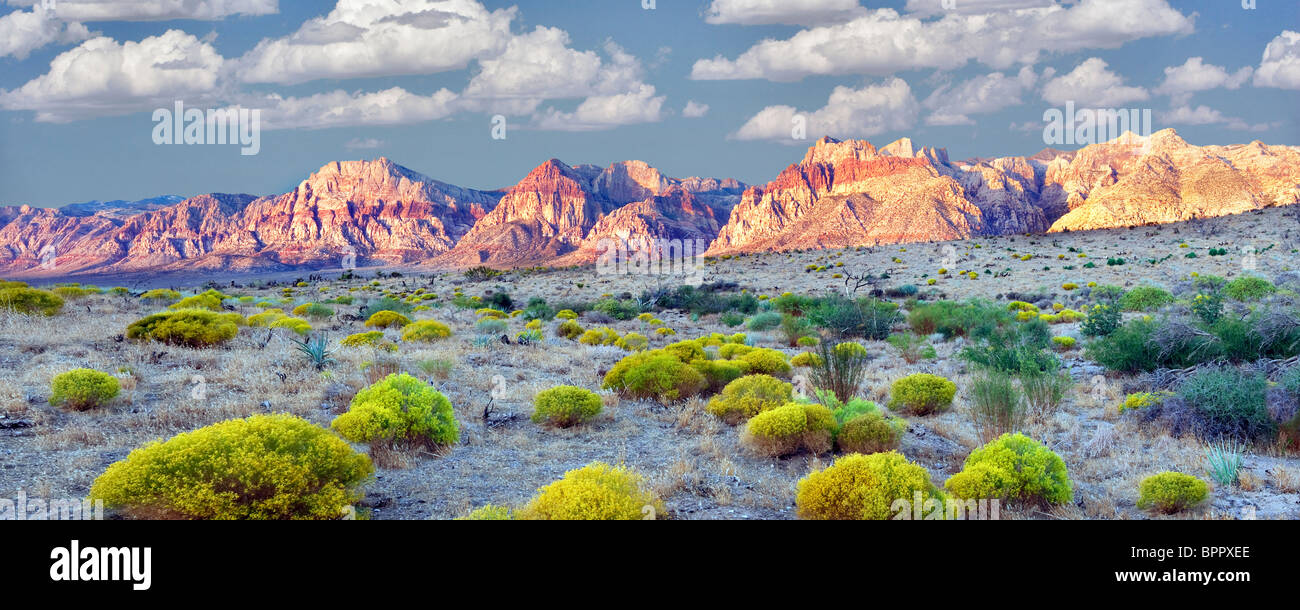Rabbitbrush und Felsformationen im Red Rock Canyon National Conservation Area, Nevada. Himmel wurde hinzugefügt. Stockfoto