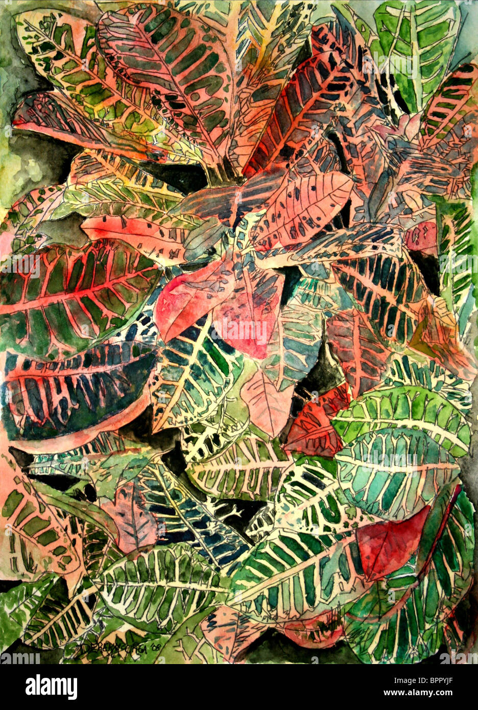 Kroton tropischen Küsten Kunst Werk Stockfoto