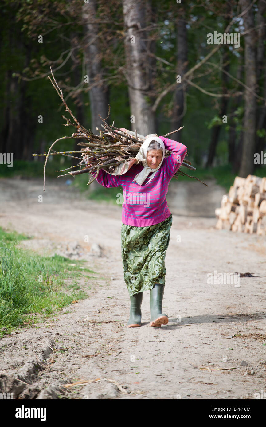 Alte Frau mit kleine Zweigen auf ihr zurück in die Landschaft Rumäniens. Stockfoto