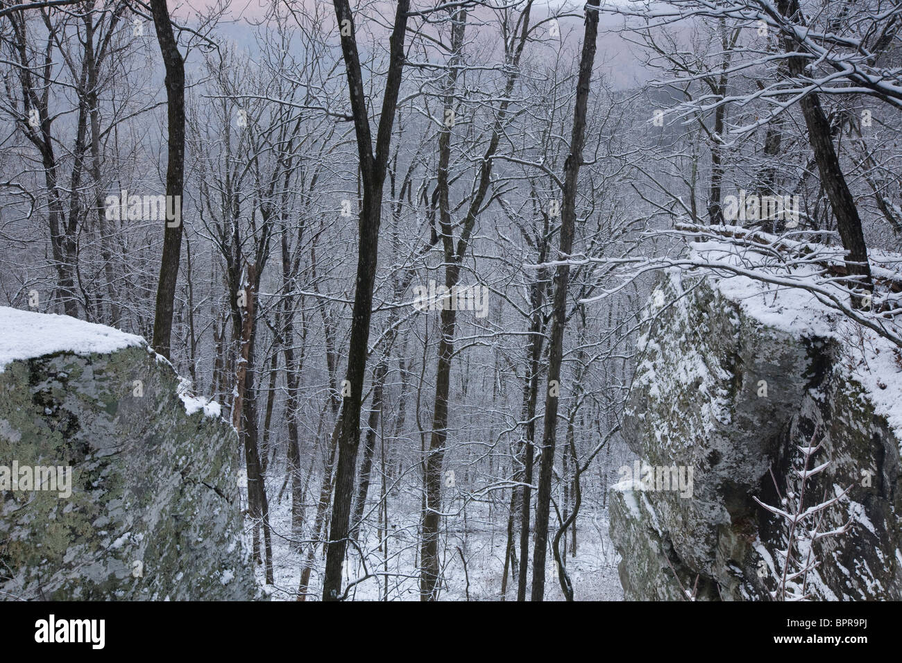 White Rock Mountain, Ozark Highland Trail, Arkansas Stockfoto