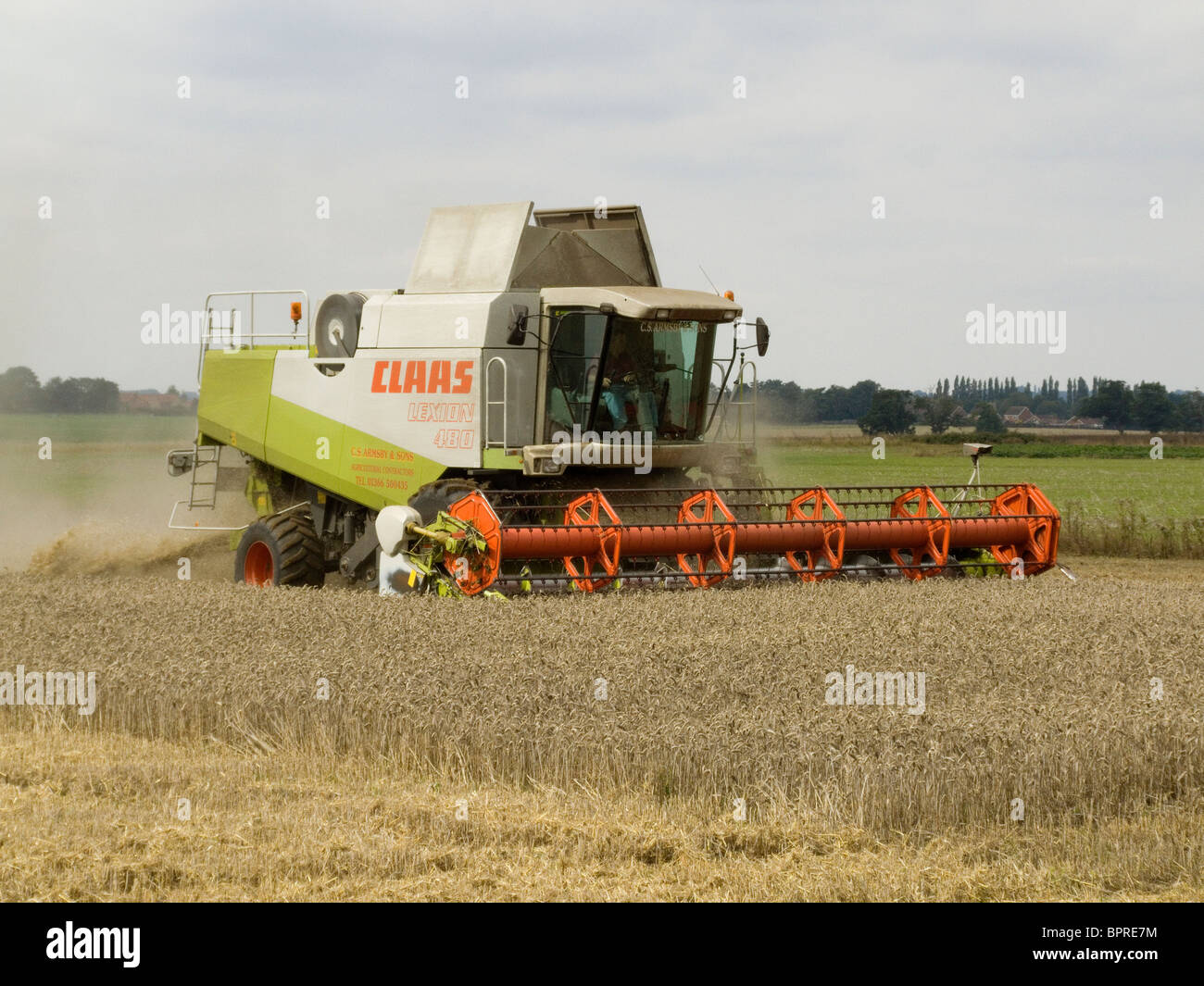 CLAAS Lexion 480 Mähdrescher beim Ernten von Weizen in einem Feld von Norfolk an einem hellen Tag im August Stockfoto