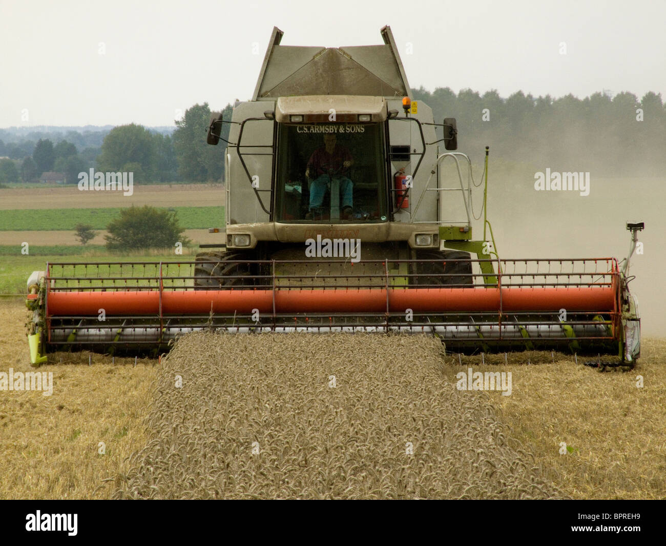 CLAAS Lexion 480 Mähdrescher beim Ernten von Weizen in einem Feld von Norfolk an einem hellen Tag im August Stockfoto