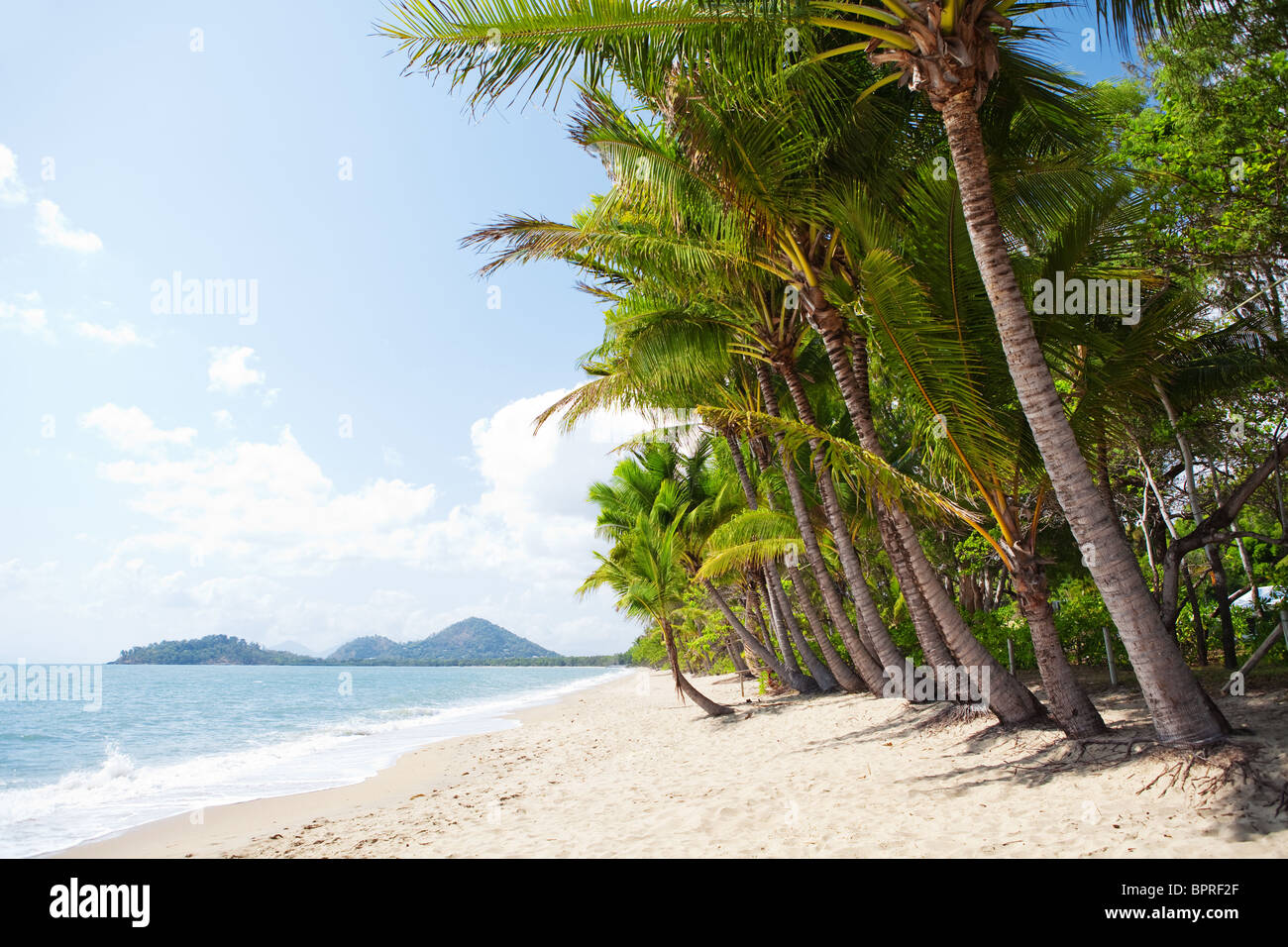 Einsamen tropischen Strand mit Palmen im Norden Queensland Stockfoto