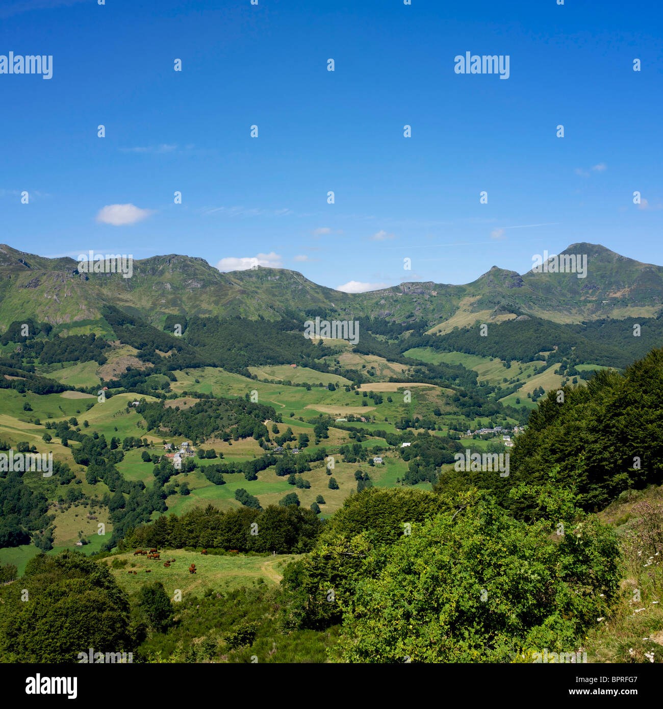 Vallee de Mandailles, Département Aveyron, Auvergne, Frankreich, Europa Stockfoto