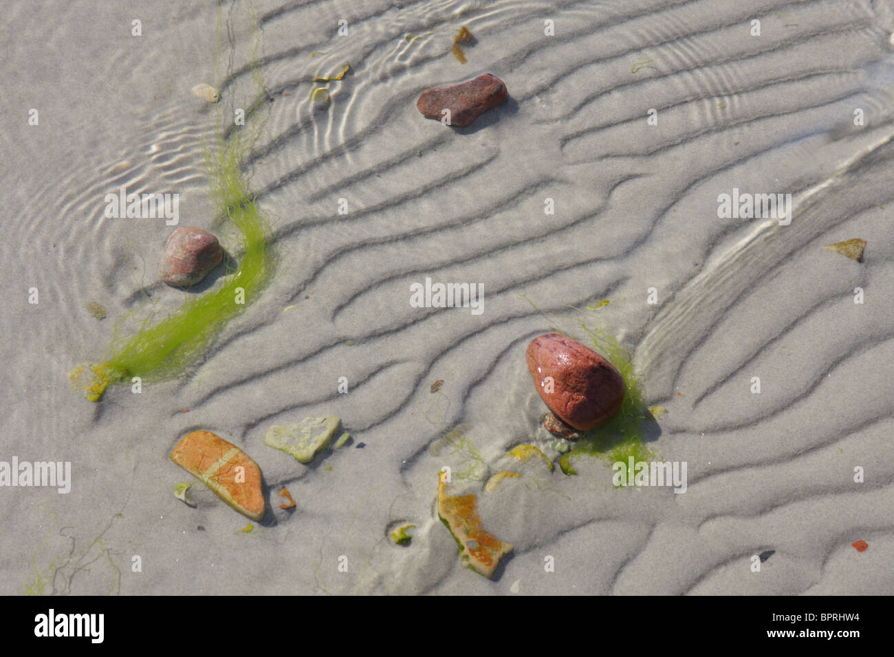 Meer-Komposition mit Sand, Algen und Steinen, Estland Stockfoto