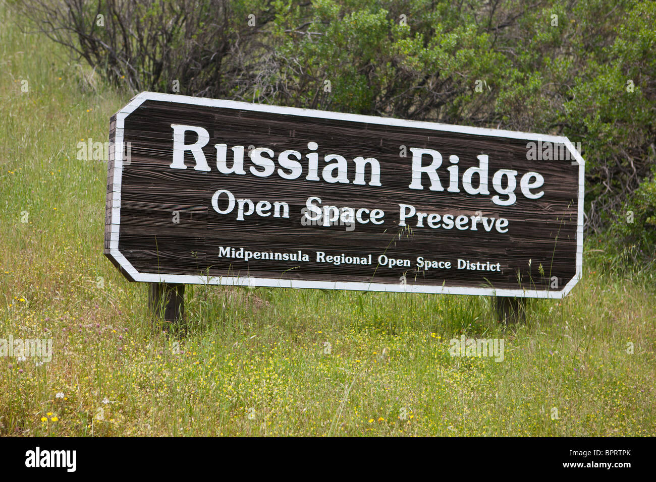 Russische Ridge Open Space Wanderwege, Palo Alto, California, Vereinigte Staaten von Amerika. Stockfoto