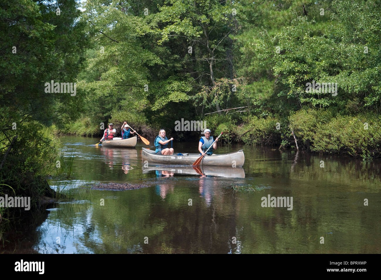 Kanufahren im Fluss waten in die Pine Barrens von New Jersey Stockfoto
