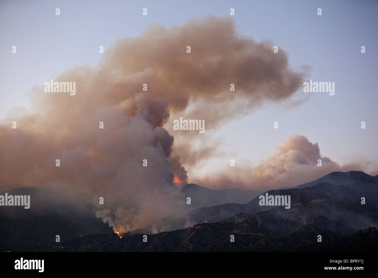 Große Rauchwolke erhebt sich über Waldbrand in der Abenddämmerung Stockfoto