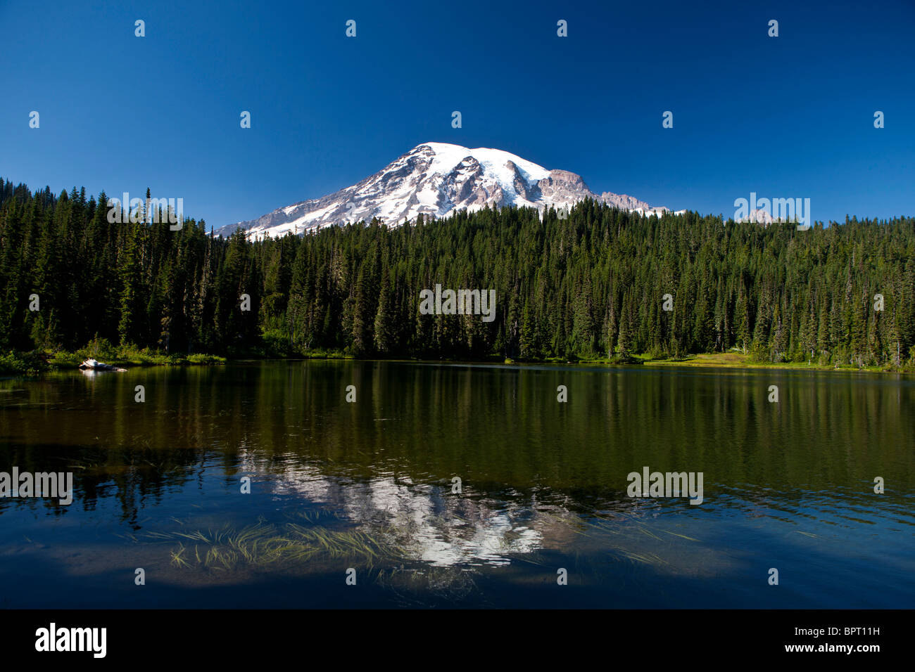 Reflexion des Mount Rainier in Reflection Lake, Mt. Rainier Nationalpark, Washington, Vereinigte Staaten von Amerika Stockfoto