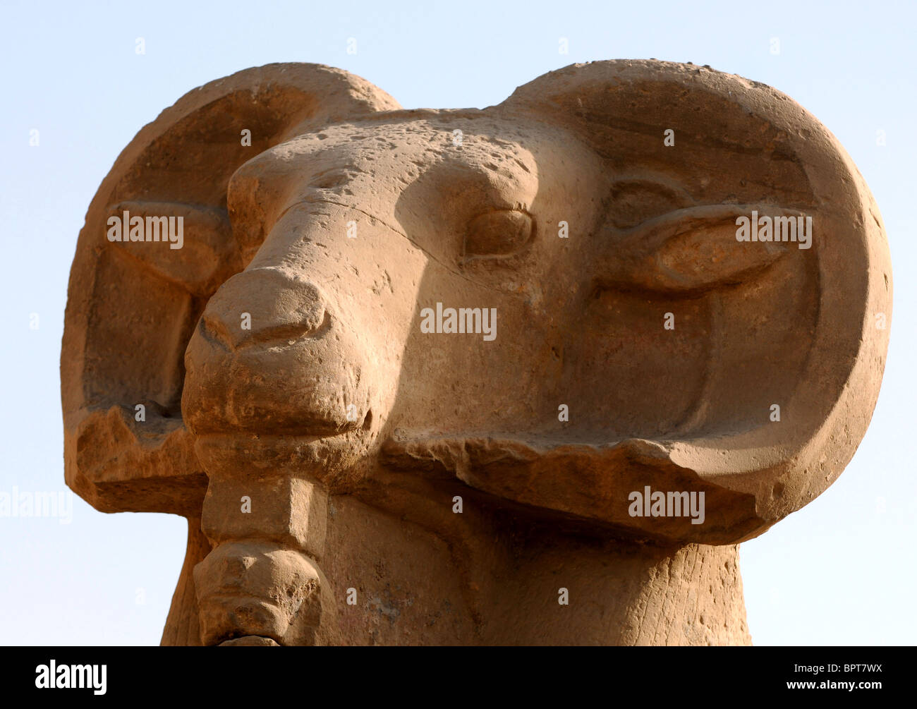 Karnak Tempel Ägyptens, Widderköpfige Sphinx, ein Symbol des Gottes Amun, Skulptur am Haupteingang, Karnak, Ägypten Stockfoto