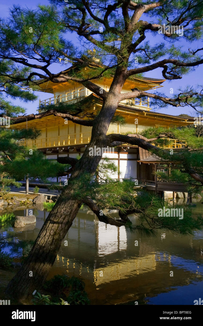 Kinkaku-Ji (金閣寺 Tempel des goldenen Pavillons), auch bekannt als Rokuon-Ji (鹿苑寺 Hirsch Garten Tempel) - eine Zen-buddhistischen Tempel in Japan Stockfoto