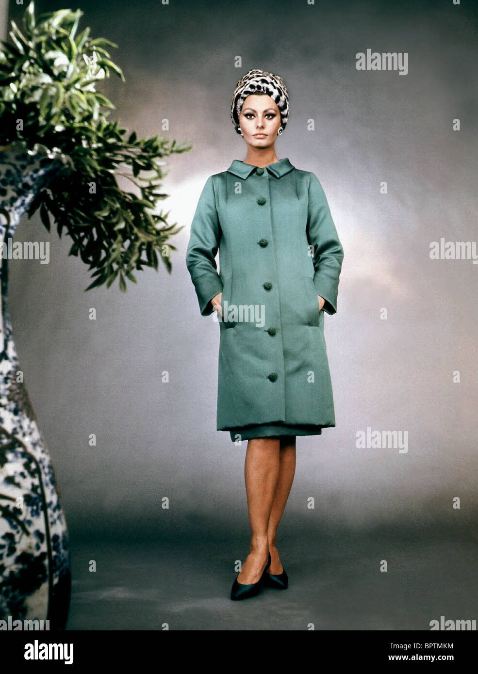 Sophia loren actress -Fotos und -Bildmaterial in hoher Auflösung – Alamy
