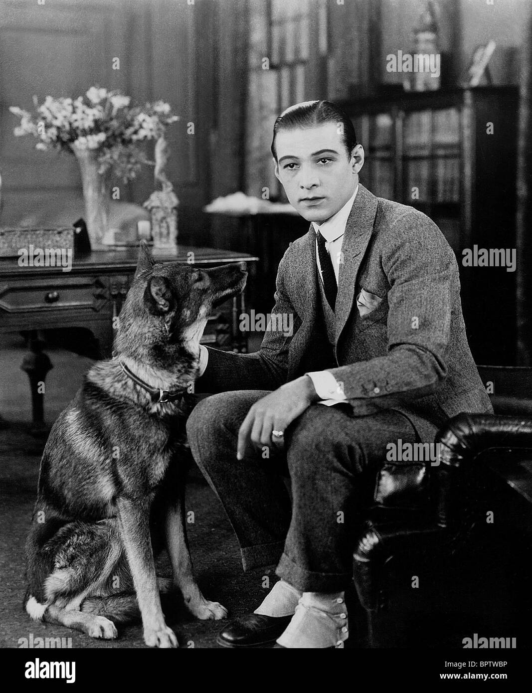 RUDOLPH VALENTINO MIT HUND SCHAUSPIELER (1925) Stockfoto