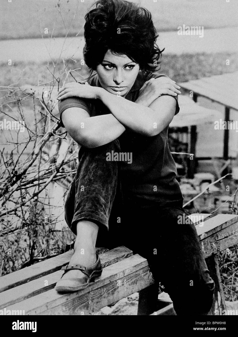 Sophia loren actress -Fotos und -Bildmaterial in hoher Auflösung – Alamy