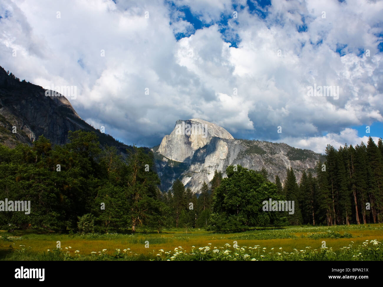 Landschaft Schuss des Half Dome im Yosemite. Stockfoto