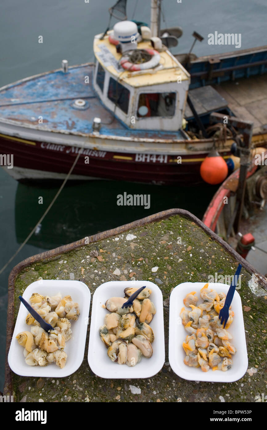 Wellhornschnecken, Herzmuscheln und Miesmuscheln, eine klassische britische Küste snack. Stockfoto