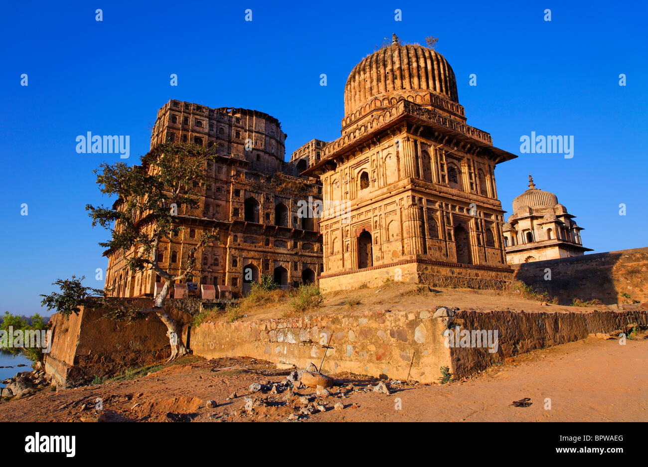 Chhatris, Orchha, Madhya Pradesh, Indien Stockfoto