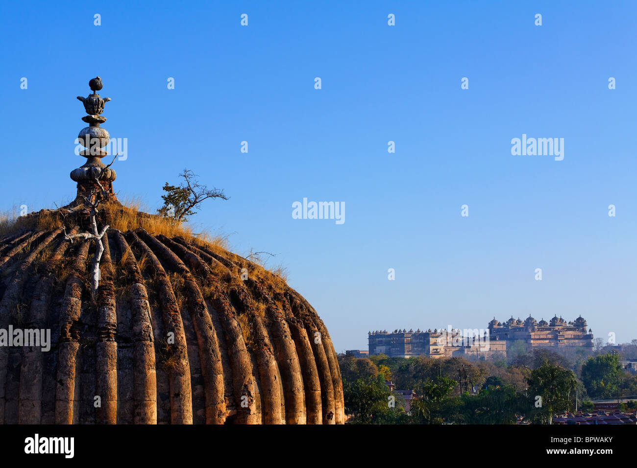 Kuppel des ein Kenotaph mit Raj Mahal im Hintergrund, Orchha, Madhya Pradesh, Indien Stockfoto