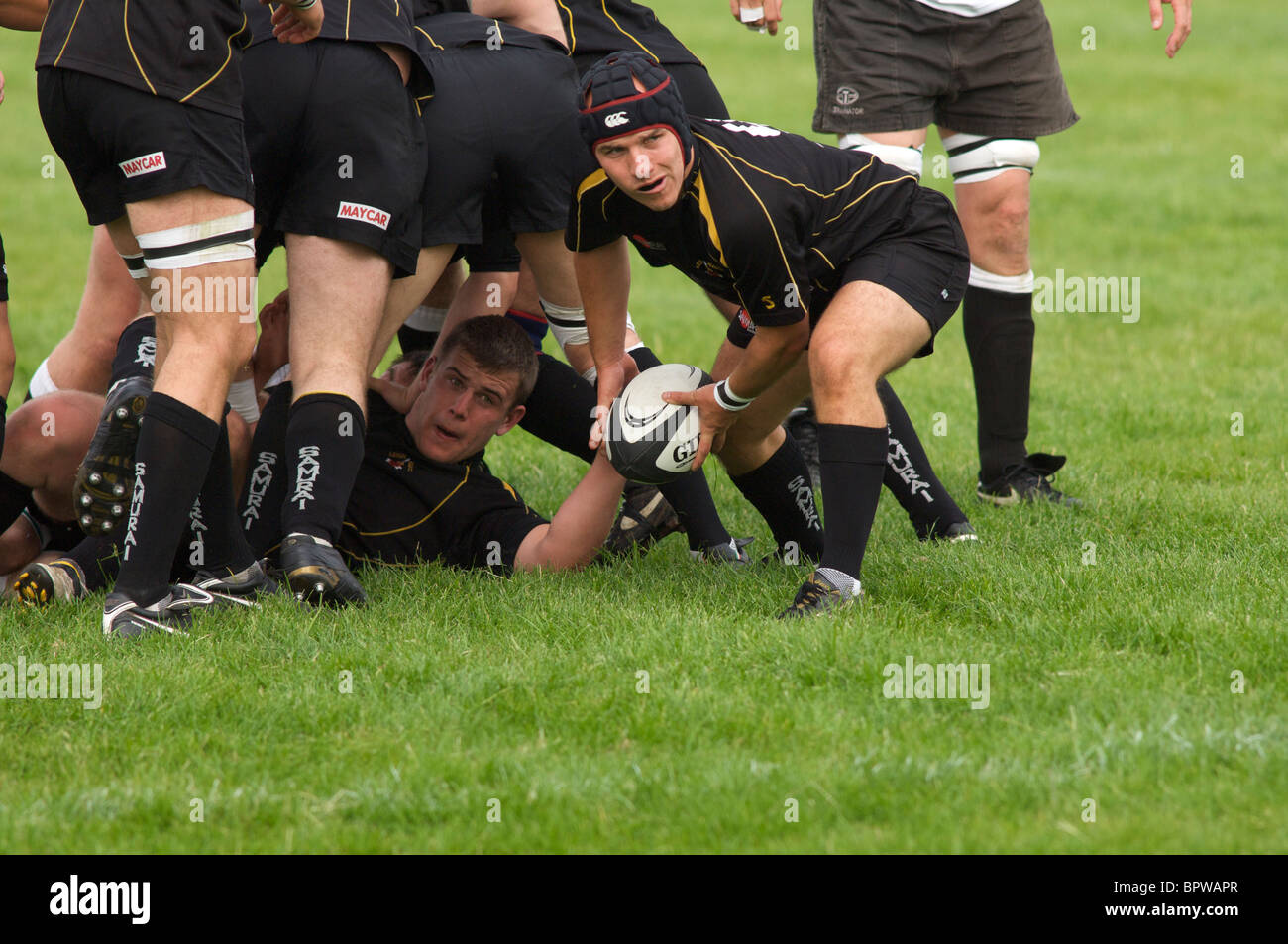 Scrum-Hälfte zu Ball passieren während der Rugby-Spiel Stockfoto