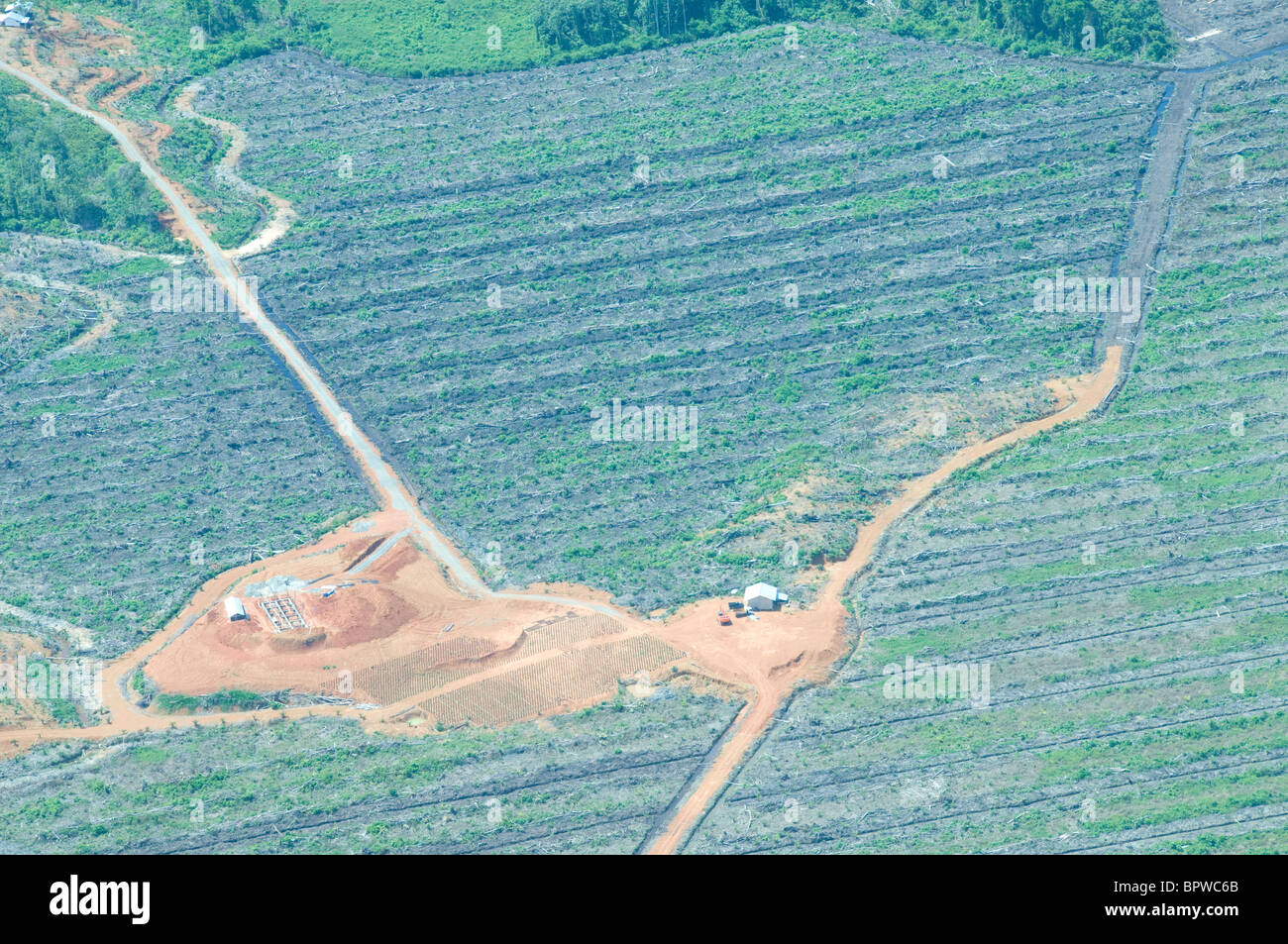 AERIEL Foto der letzten Entwaldung in Tripa Torf Sumpf, Sumatra, Indonesien auf dem Land mit Palmöl gepflanzt werden. Stockfoto