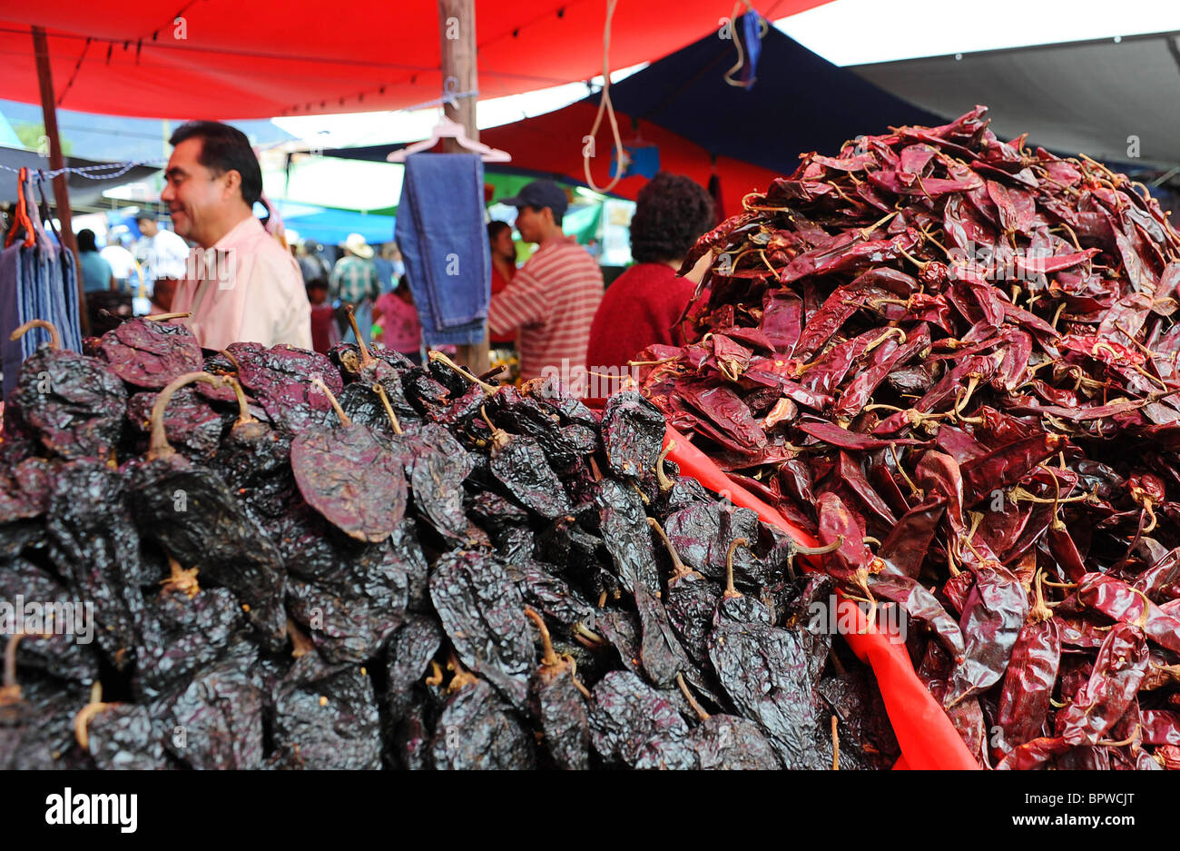Getrocknete Chilies in Tlacolula Market, Oaxaca, Mexiko Stockfoto