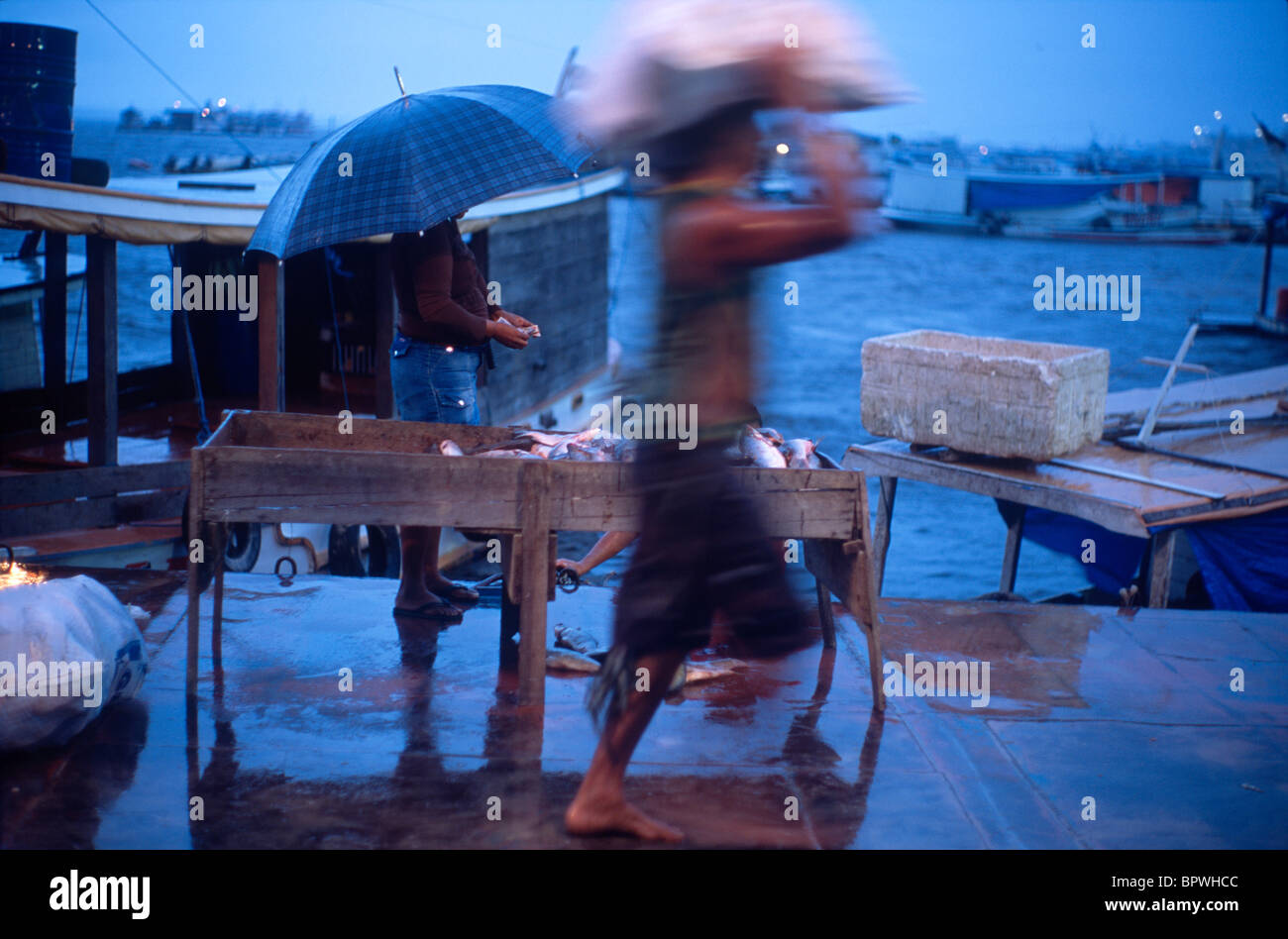 Amazon River Fischer verkaufen ihre waren an den Panair Docks in Manaus, Brasilien. Stockfoto