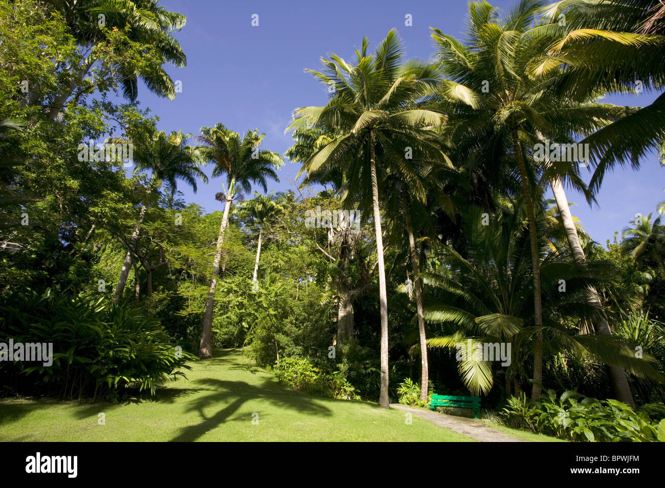 Palmen und Rasen in Flower Forest in der Pfarrei St. Joseph Stockfoto