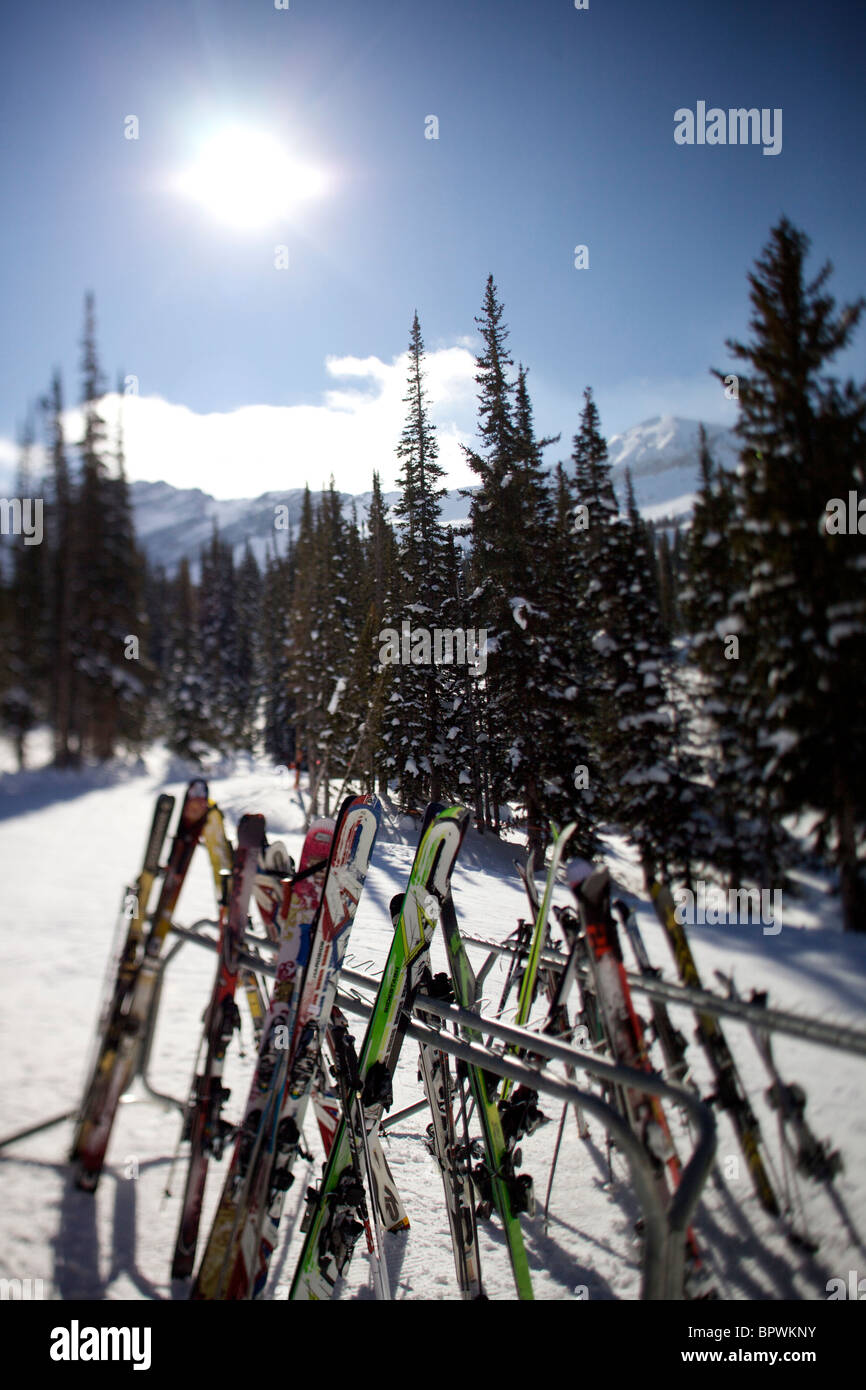 Alle Rack bis Ski im Skigebiet Alta. Stockfoto