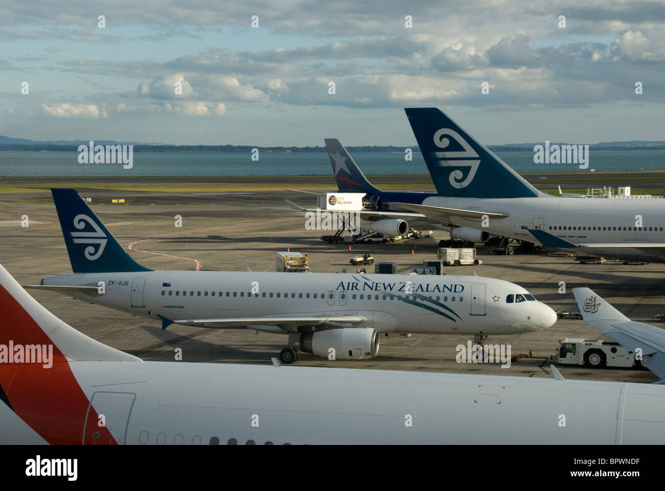 Flugzeuge auf Tore am Flughafen Auckland, Nordinsel, Neuseeland Stockfoto