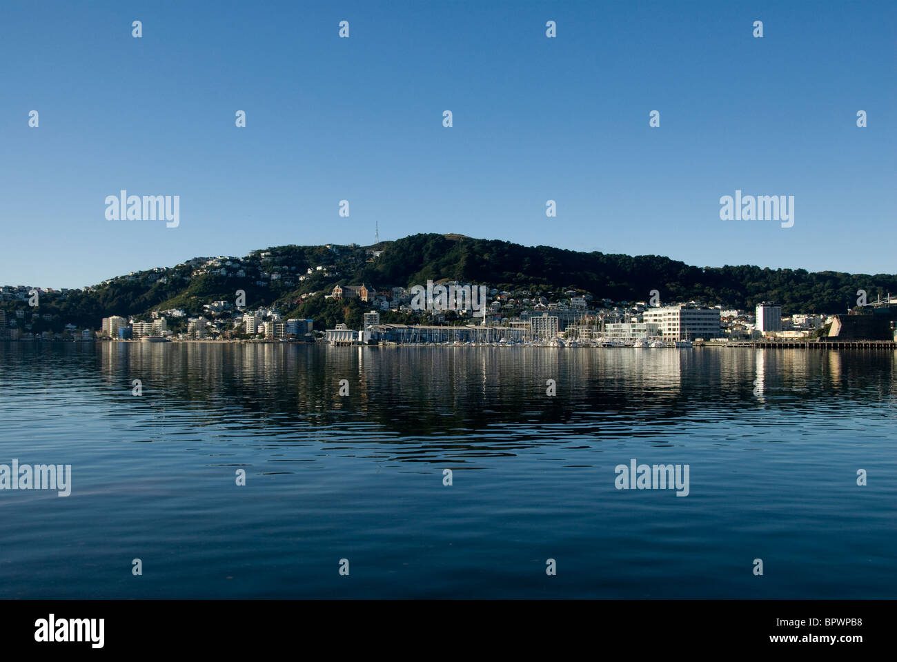 Häuser am Hang, Reflexionen im Hafen, Mount Victoria, Wellington, Nordinsel, Neuseeland Stockfoto