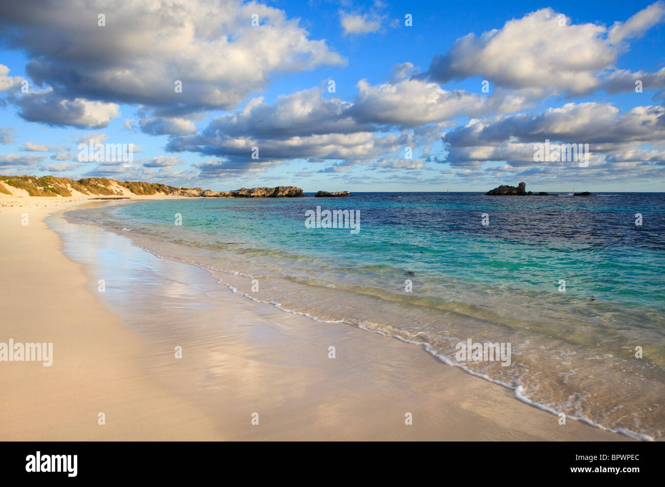 Pinky Strand auf Rottnest Island, Perth, Westaustralien. Stockfoto