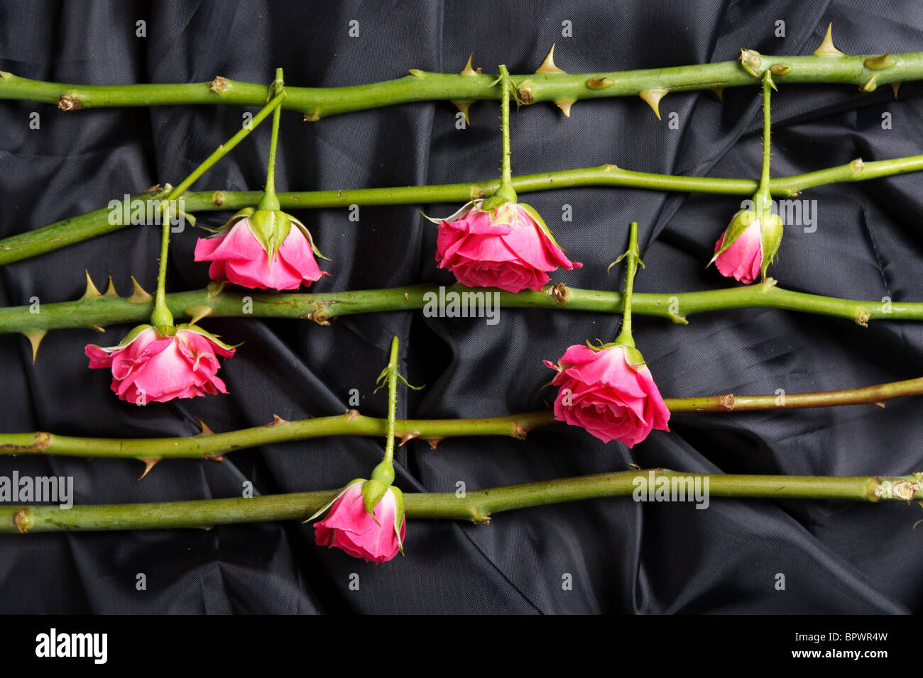 musikalische Untermalung Stockfoto