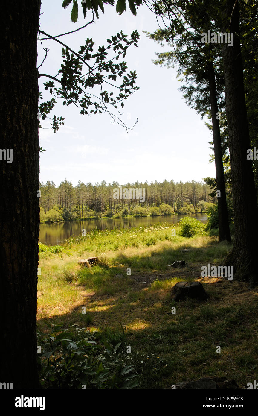 See und Pine Forest befindet sich auf einem Plateau in den Bergen de l' Epinouse südlichen Frankreich Wald du Somail Stockfoto