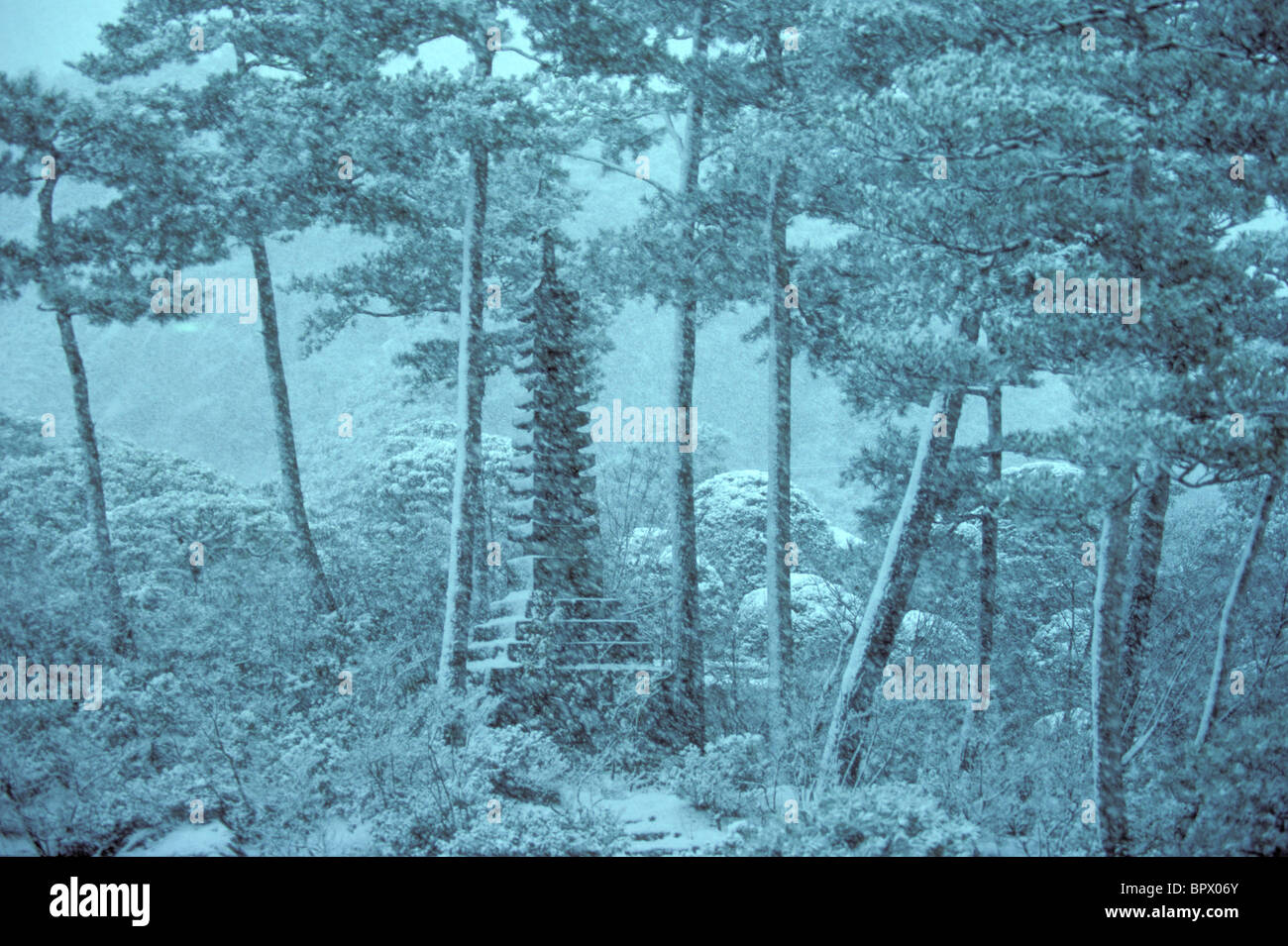 Japanische Gärten im Adachi Museum of Art Stockfoto