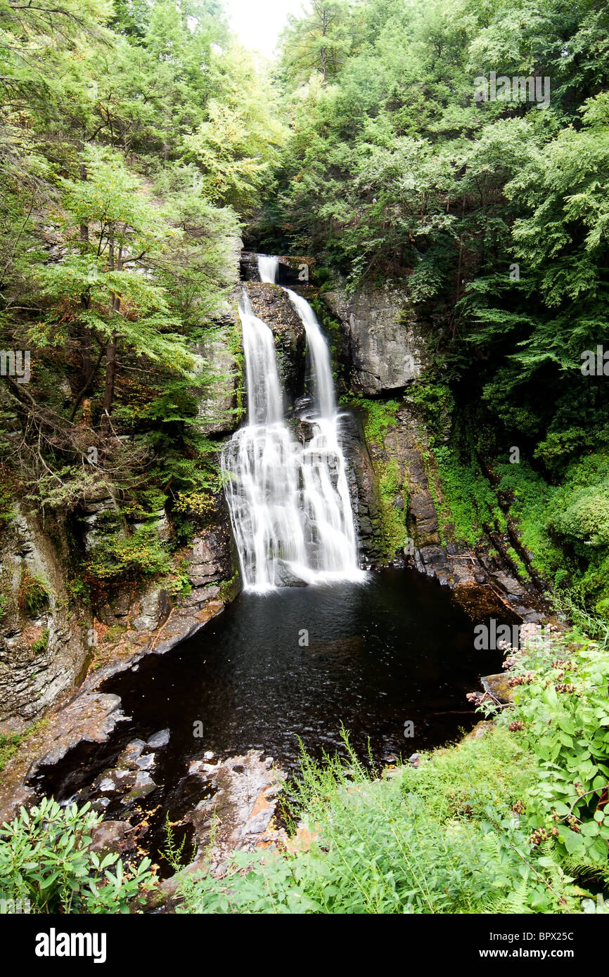 Schöner Wasserfall im Wald. Main fällt der Bushkill am Delaware Wasser-Gap. Stockfoto