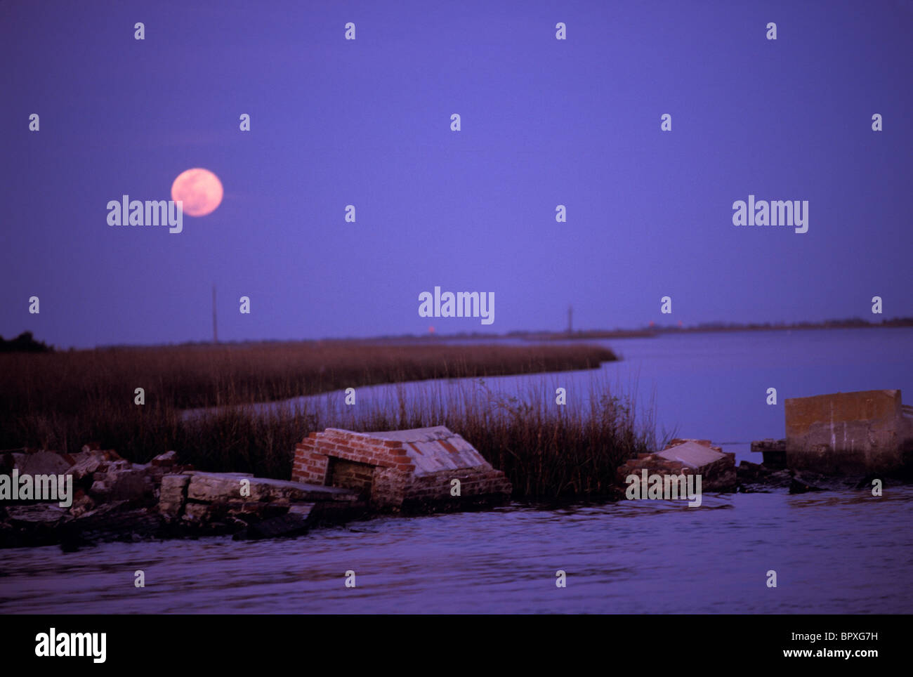 Feuchtgebiete von Louisiana Stockfoto