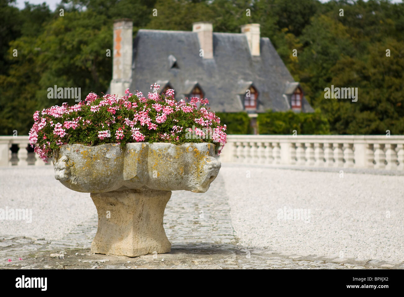 Schloss Chenonceau, Garten Stockfoto