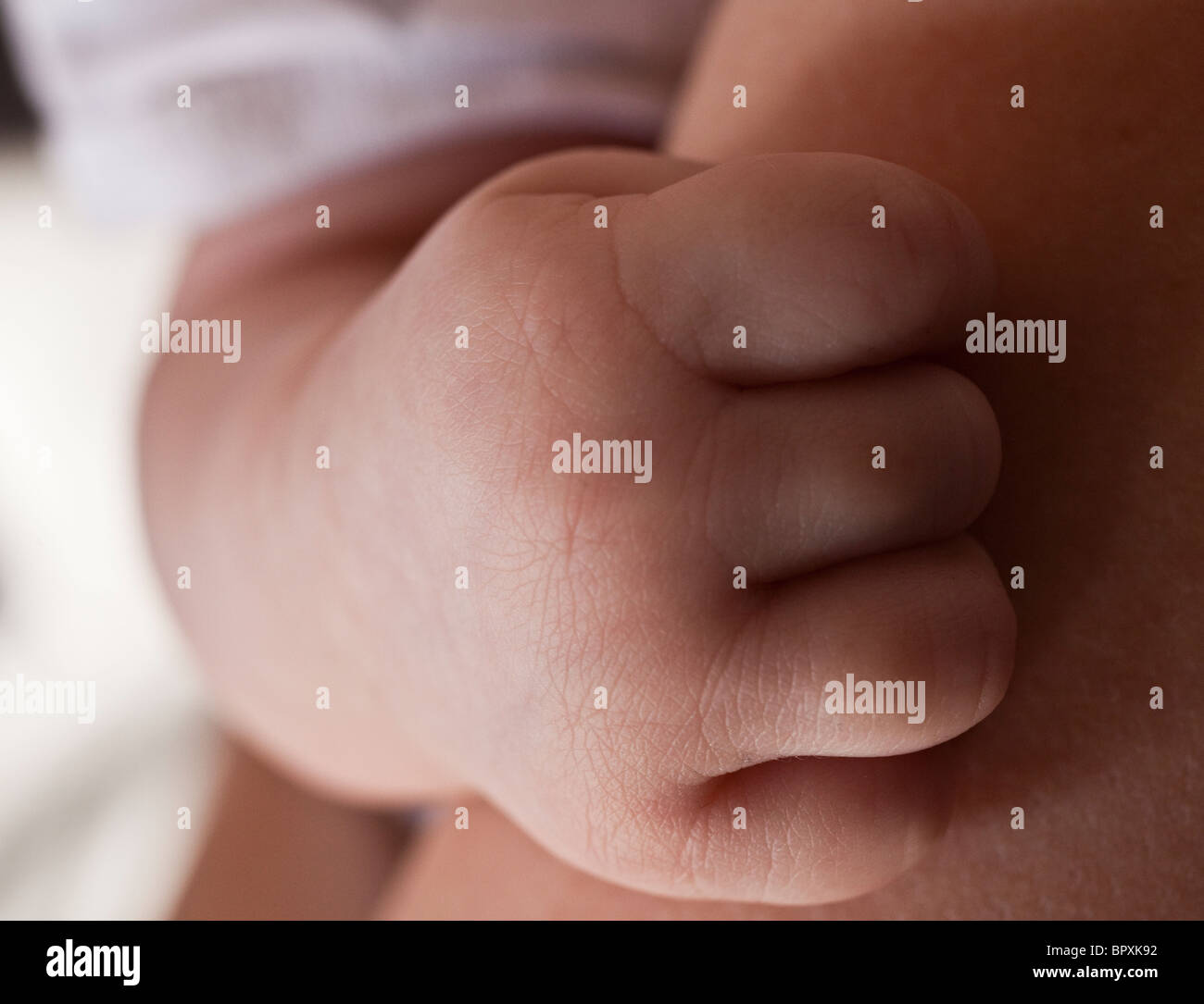 Nahaufnahme eines jungen Babys hand Stockfoto